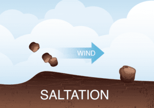 saltation