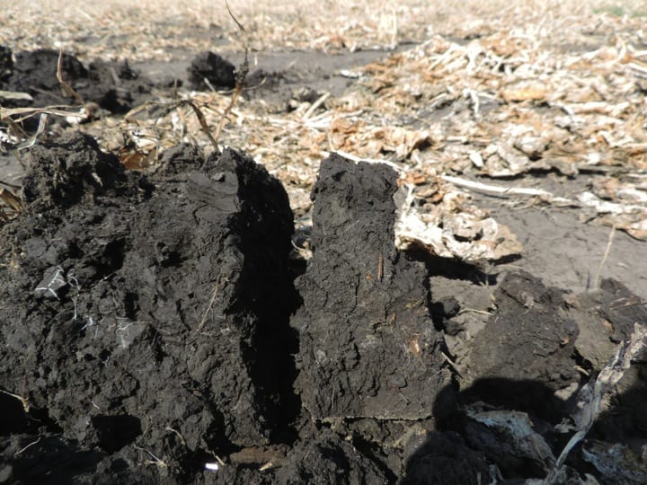  platy nature of the soil structure