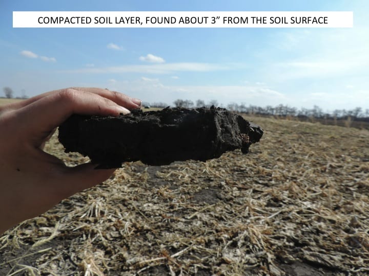  platy nature of the soil structure