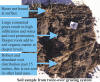 soil health