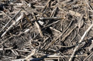 Managing for soil health