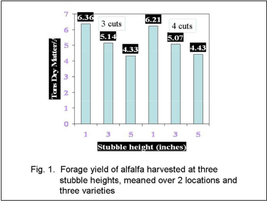 stubble-height