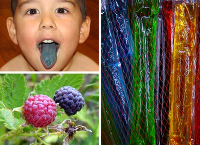 Three images: Upper left - child with a blue-stained tongue; Lower left - ripening black raspberries; Right - colorful ice pops.