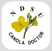 The NDSU Canola Doctor app icon features a canola plant with a green stem and yellow blossoms on a white background, with "NDSU" above and "Canola Doctor" below.