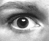 wide open eye