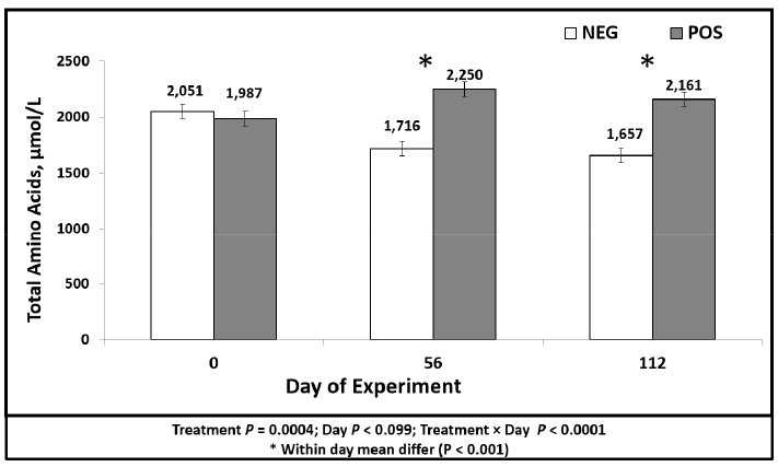 Bar chart of total amino acids present in serum of bulls managed on divergent planes of nutrition