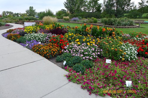 Garden beds showcase All-America Selections winners at the NDSU Horticulture Research & Demonstration Gardens.
