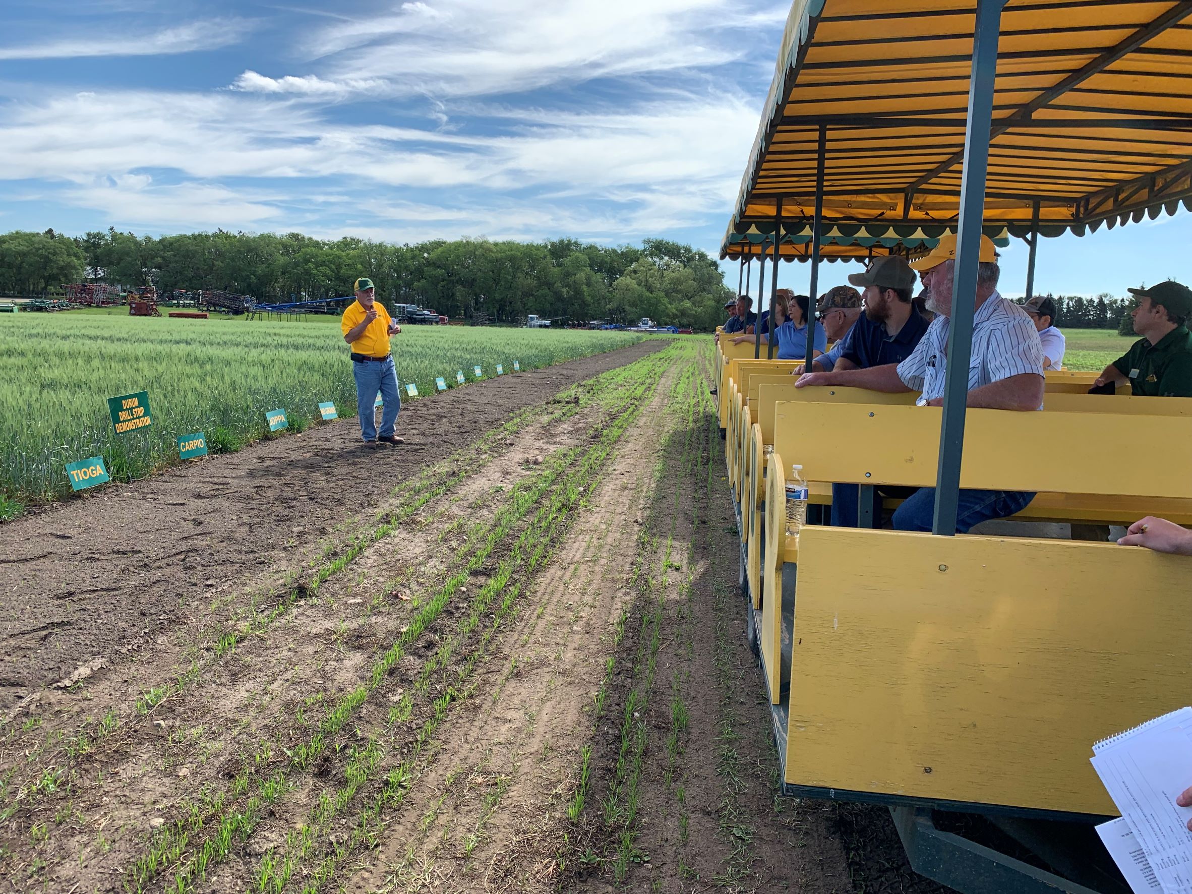 Dr. Elias Elias, NDSU durum breeder, reviewing durum varieties