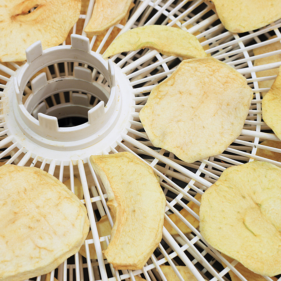 Dehydrated Apples