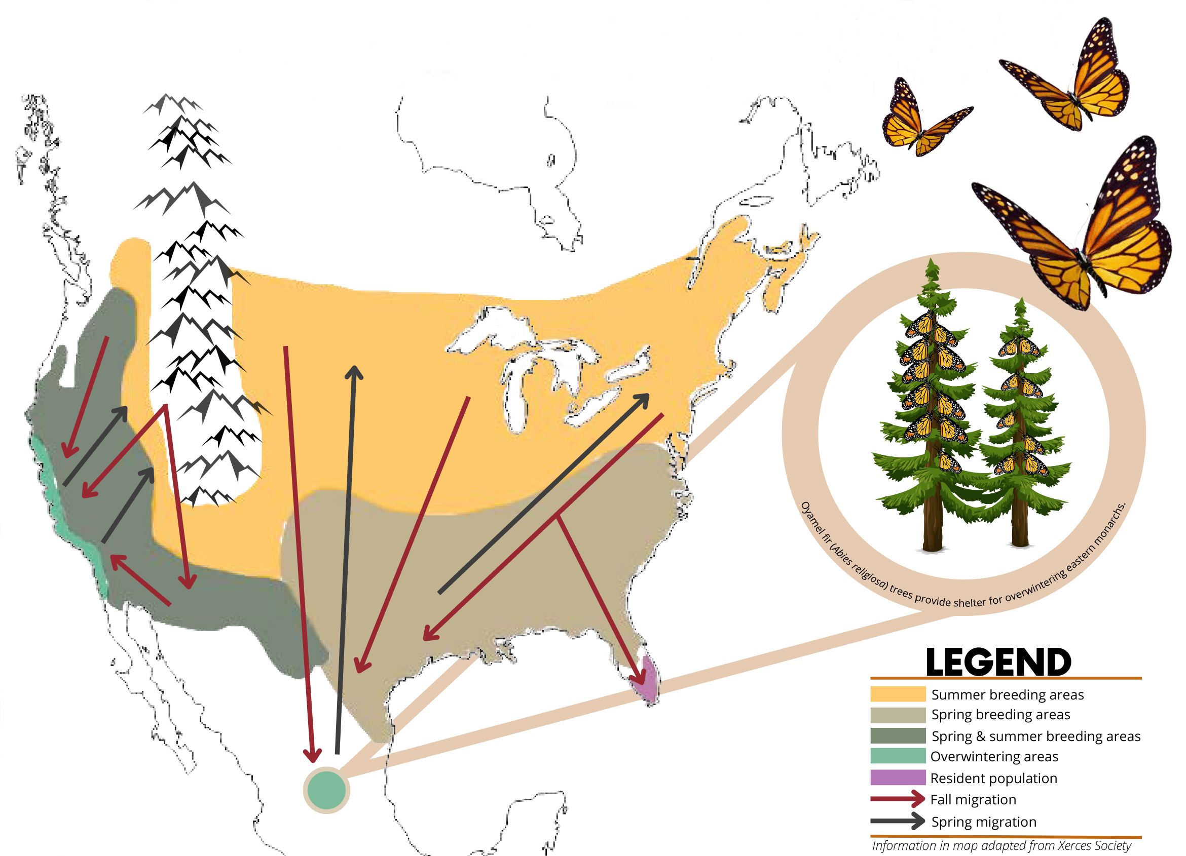 Monarch Migration