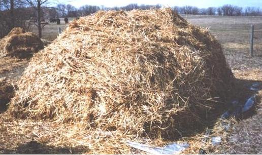Figure 3. Step-by-step composting pile construction: finishing the pile with sufficient straw surrounding the carcass.