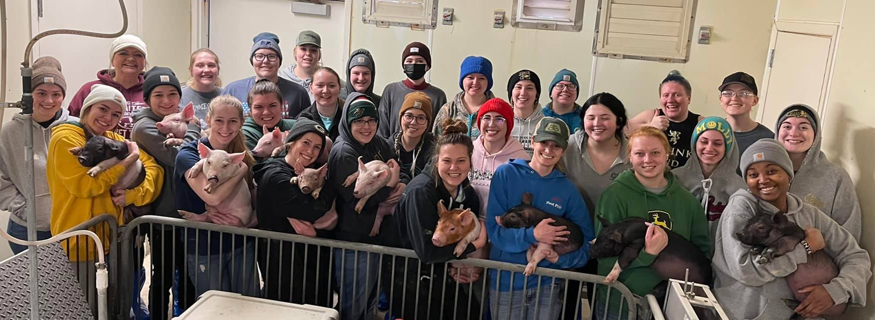 students holding pigs