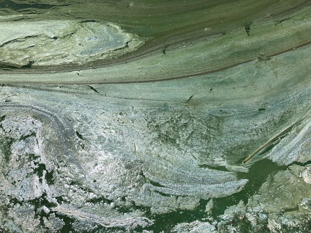 Blue-green paint