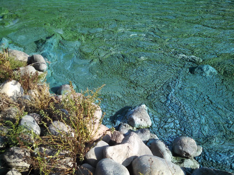 crusty blue-green surface