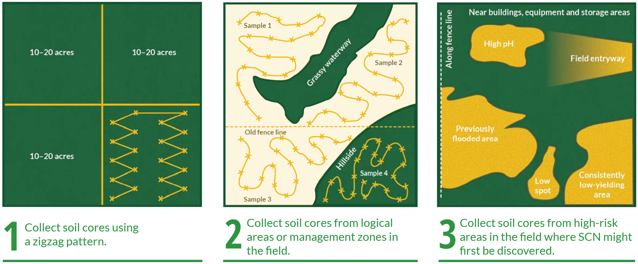 Three SCN sampling strategies: 1. Zigzag soil cores, 2. Cores from management zones, 3. Cores from high-risk areas for early detection.