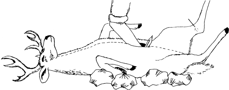 Figure 1 Field Dressing