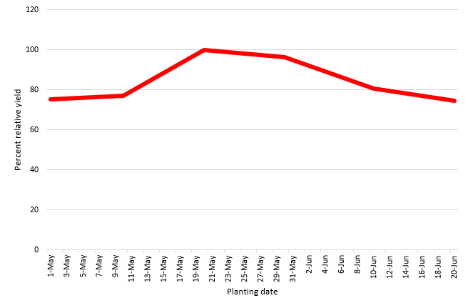 See Data in Table