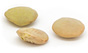 green lentil
