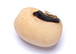 black-eyes pea