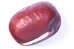 adzuki bean
