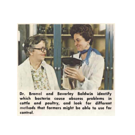 Image of Beverly Baldwin