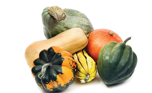 Winter Squash