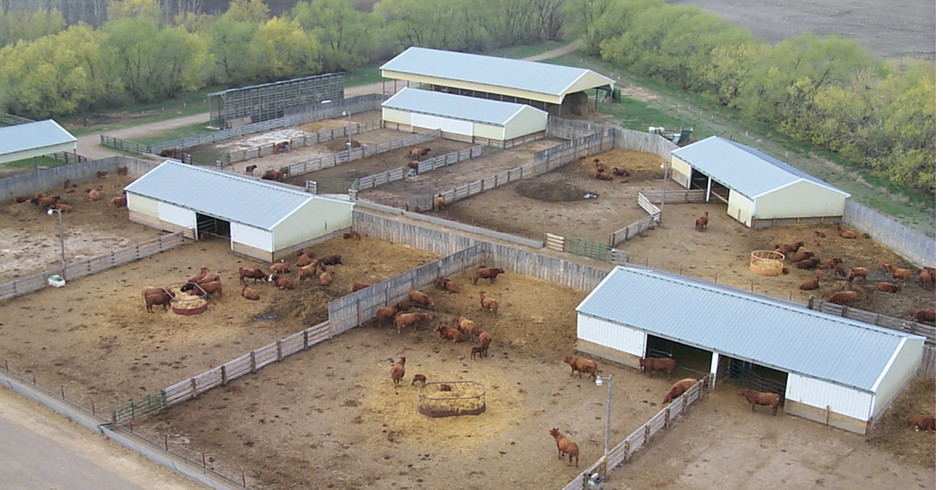 Feed Bunks