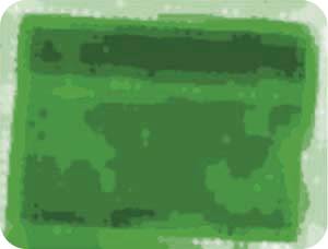 Sugarbeet Field