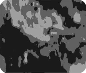 Elevation map