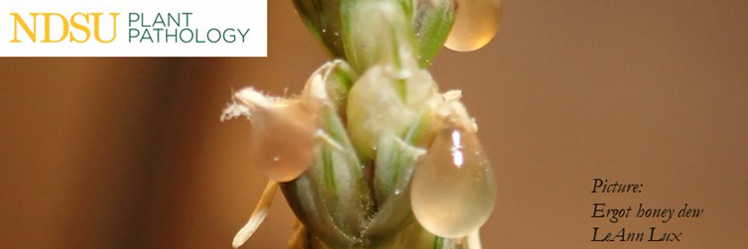 Plant Pathology Header