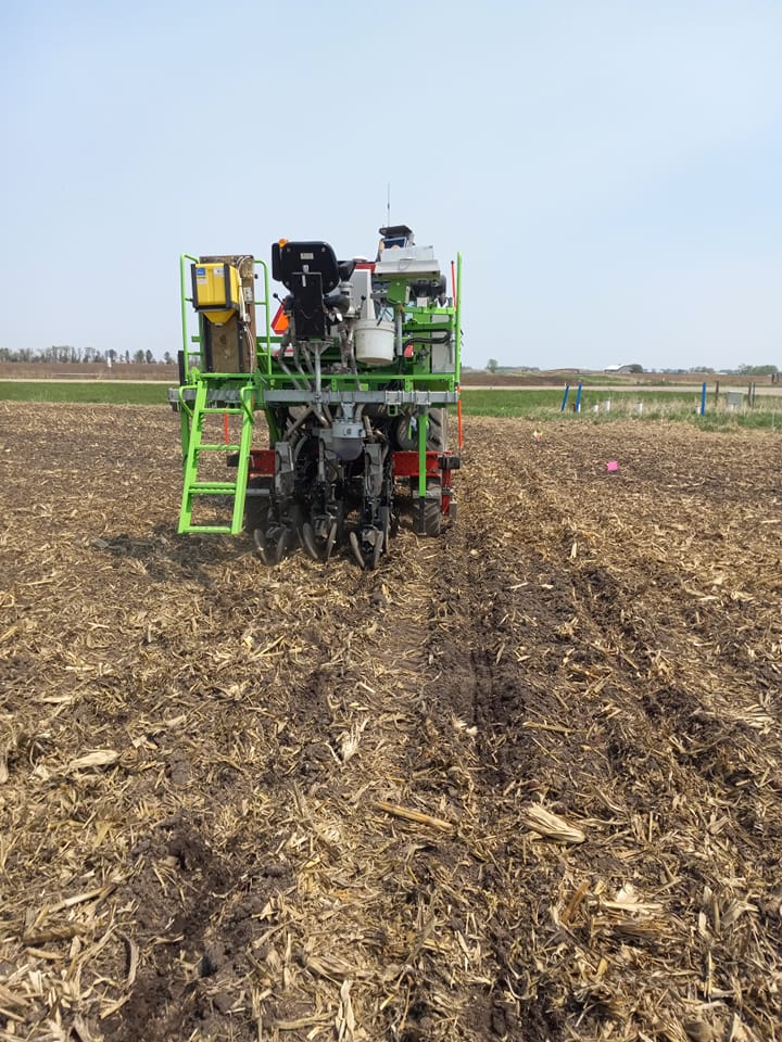 Planting in Oakes