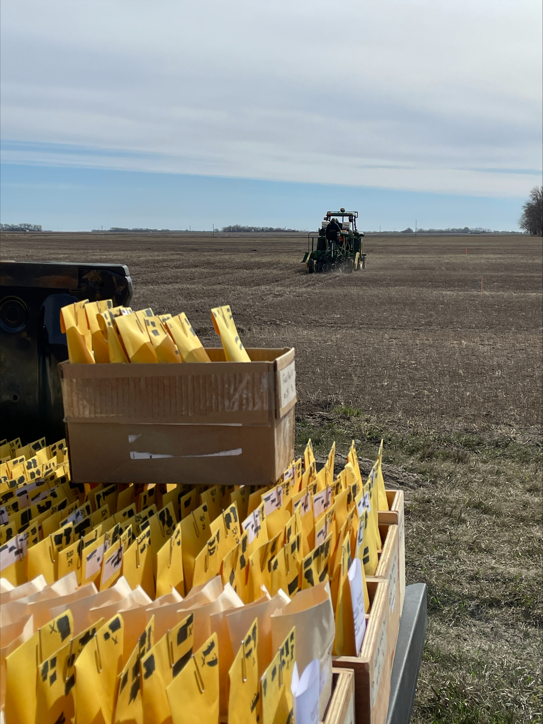 Plot seeds in packets and trays