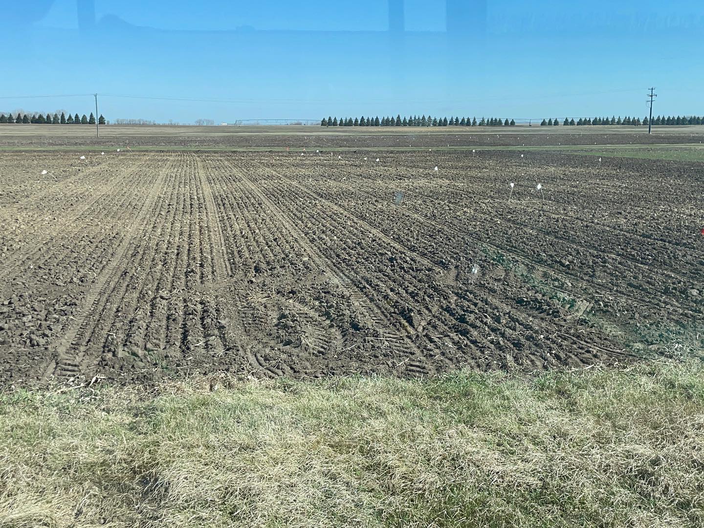Planted plot awaiting germination