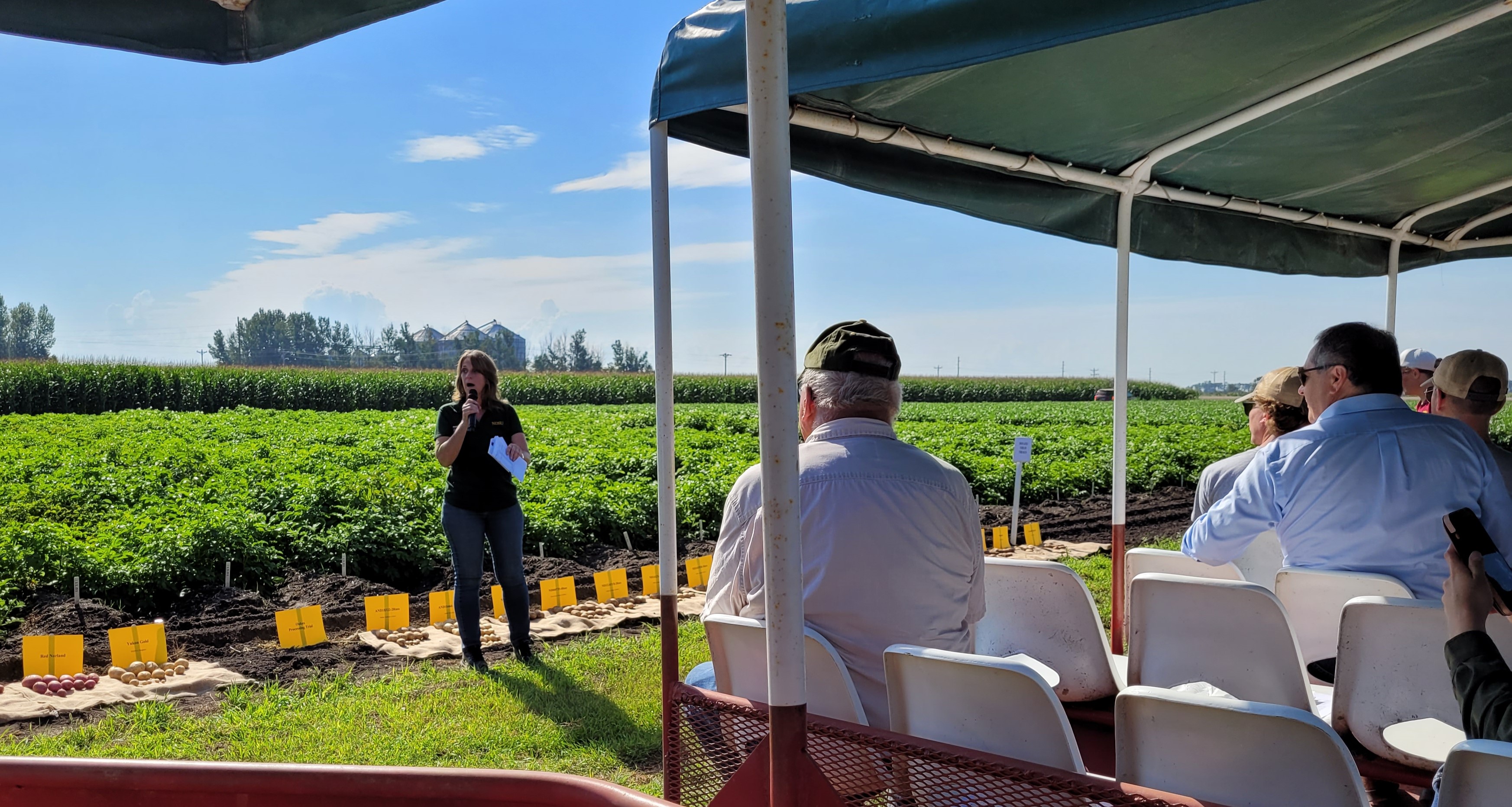 Potato samples displayed ahead of plots