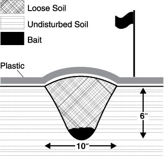 Figure 22