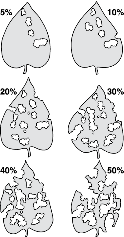 Figure 38
