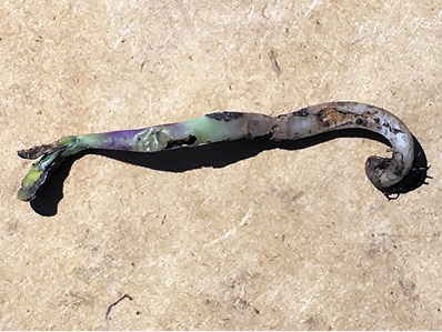 Figure 20