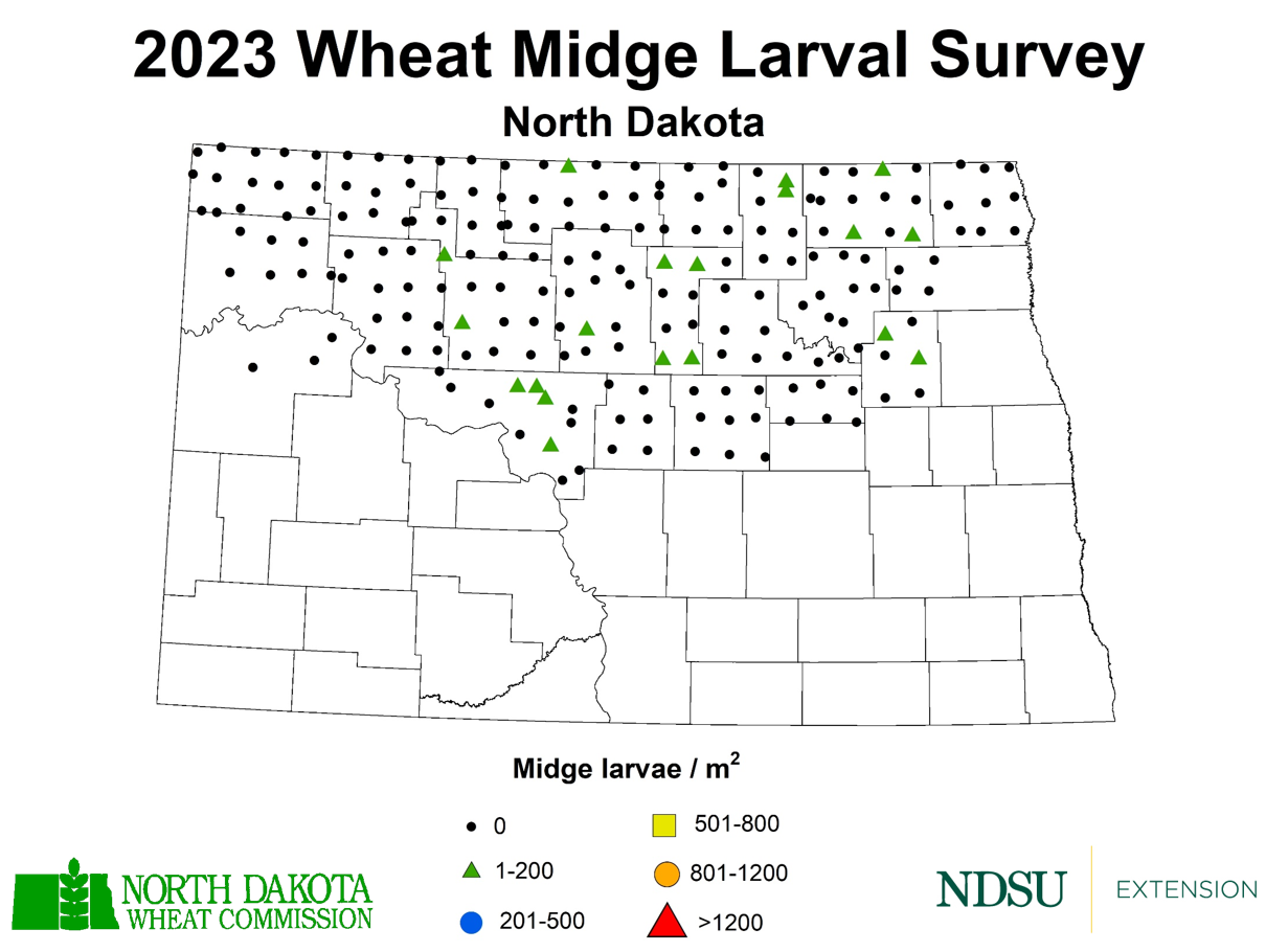 Map showing ND Counties positive for wheat midge: Cavalier, Nelson, Towner, Bottineau, Pierce, McHenry, McLean and Ward.