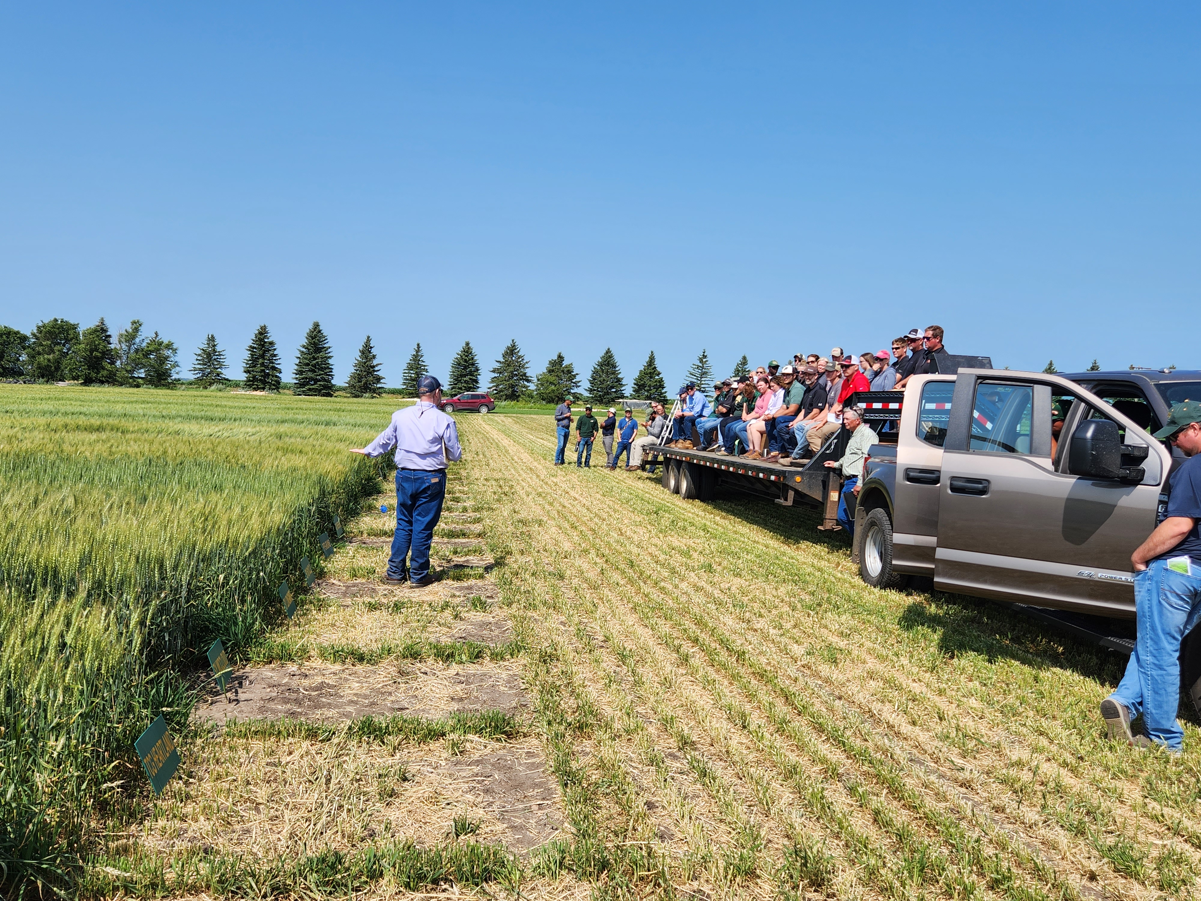 Participants at a Carrington REC field day sit on trailer benches, as an NDSU agriculture expert gestures at a research plot while speaking.