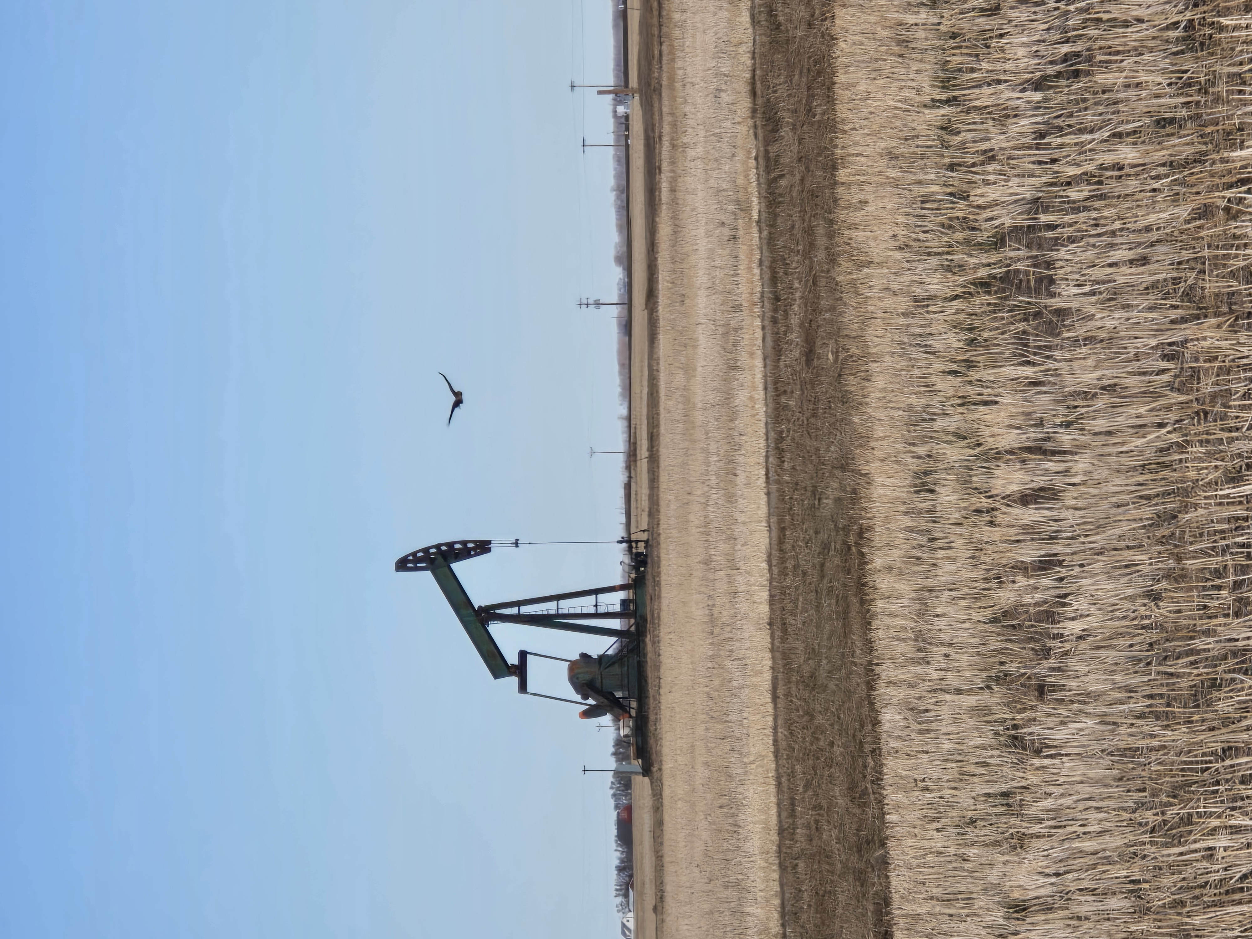Photo of one of Egla's research sampling locations