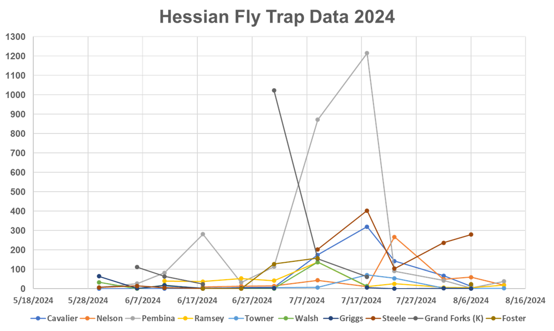 Weekly trap catch data of Hessian flies in NE counties of ND