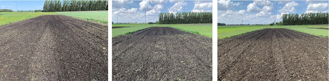 Pictures 1-3 from left to right Differences in seedbed between Level 1 (low to moderate salinity-sodicity on left), 2 (moderate to high salinity-sodicity in the middle) and 3 (very high salinity-sodicity on ri