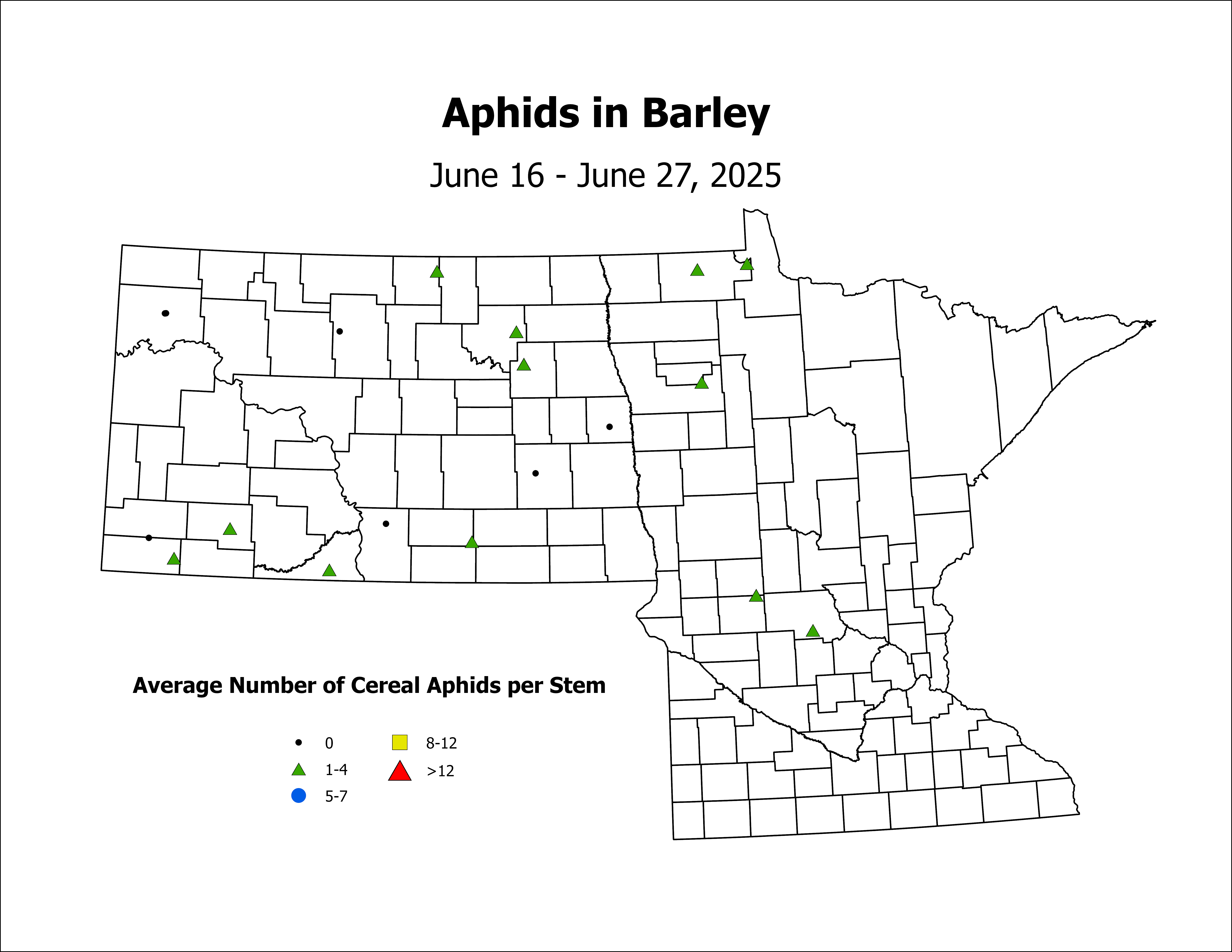 barley_Aph_Stem_2025June16ToJune27