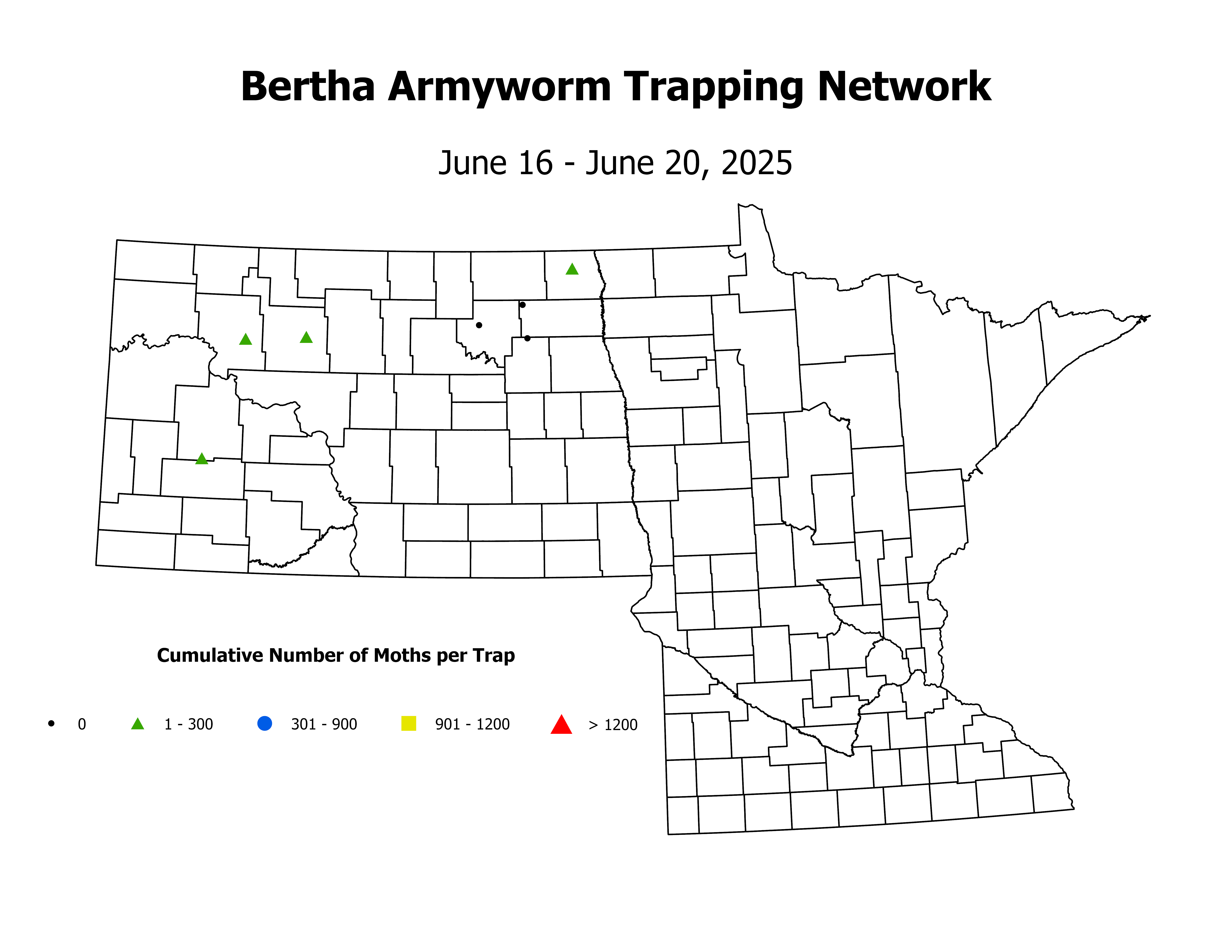 canolaInsectTrap_BA_Count_2025June16ToJune20
