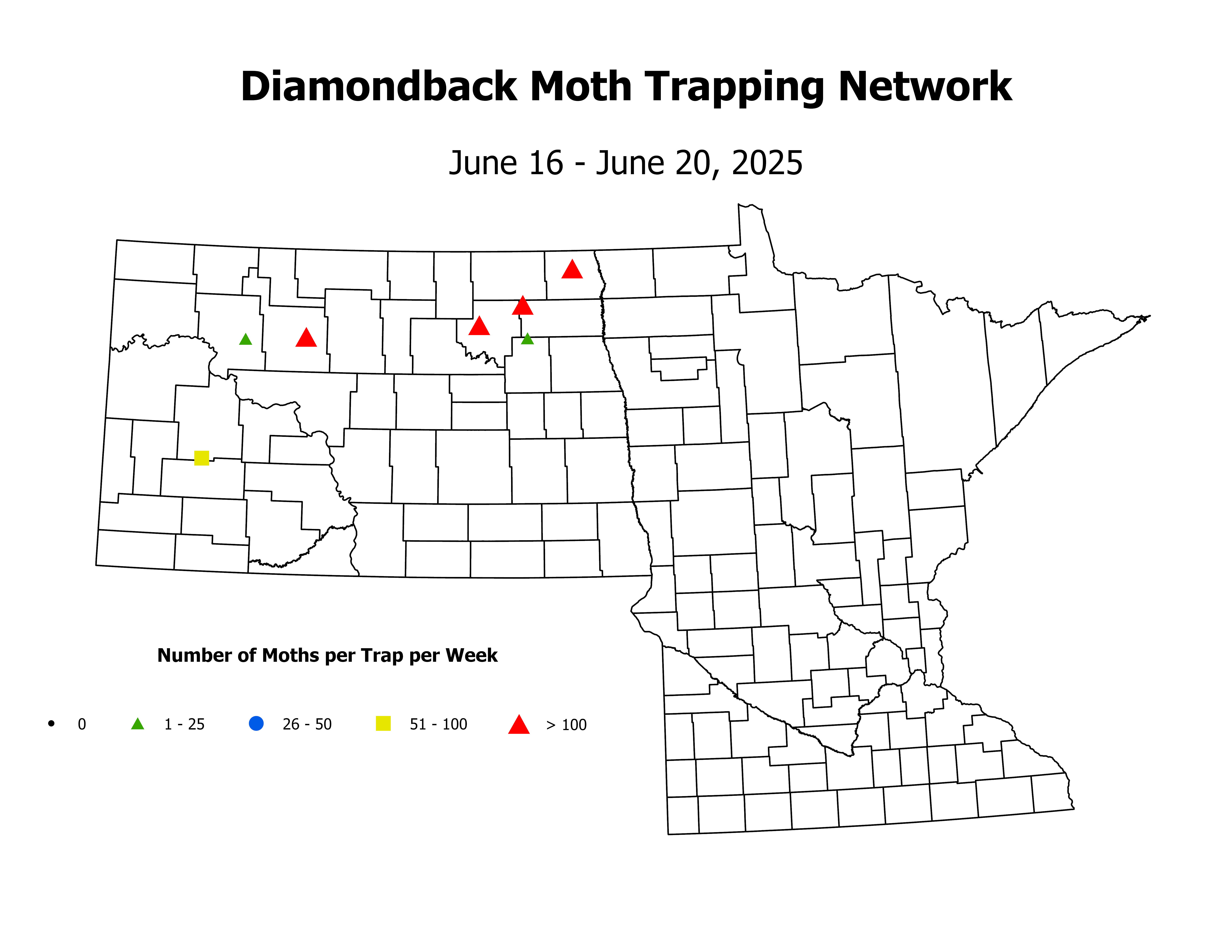 canolaInsectTrap_DBM_Count_2025June16ToJune20
