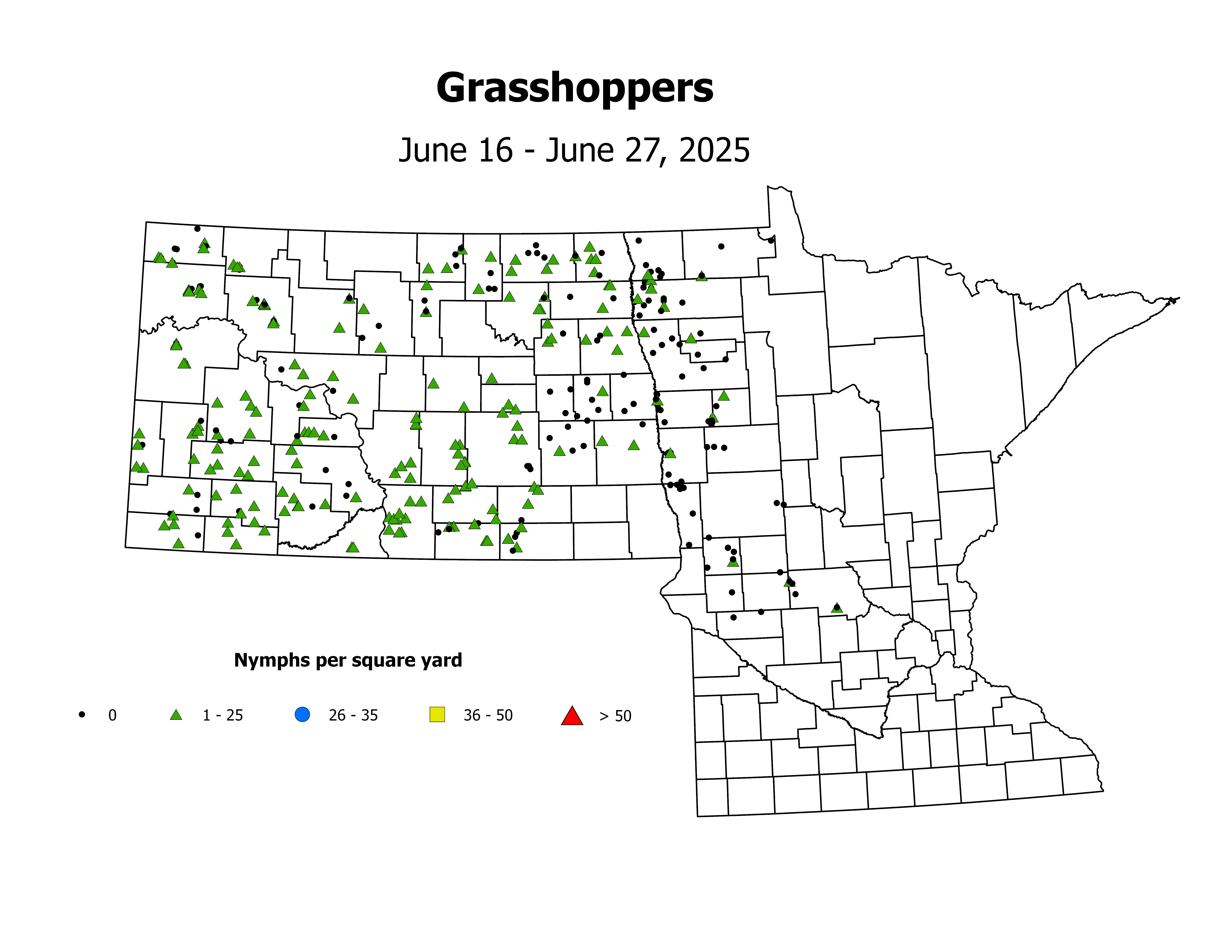 grasshopper_Nymph_sqyd_2025June16ToJune27