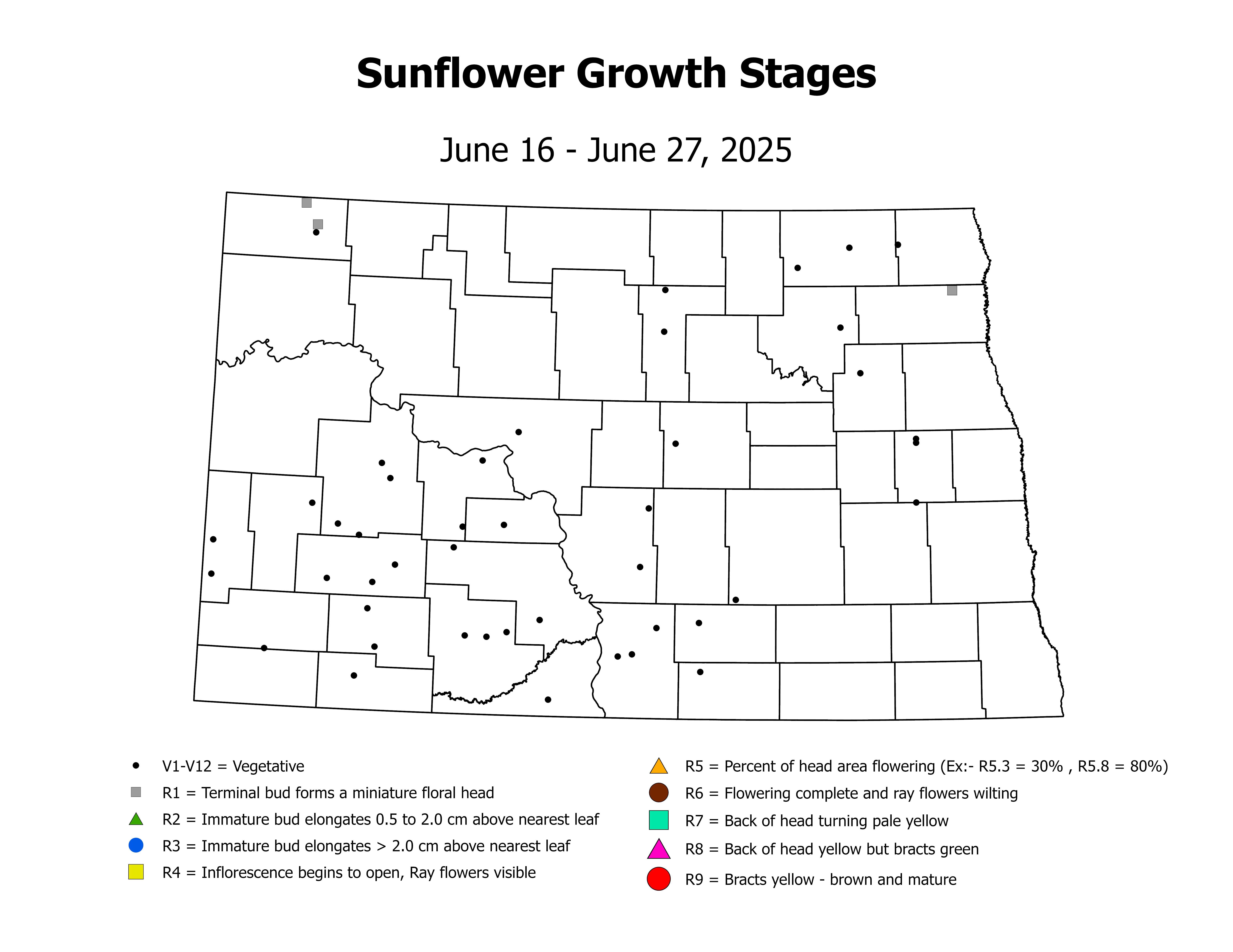 sunflower_CropStage_2025June16ToJune27