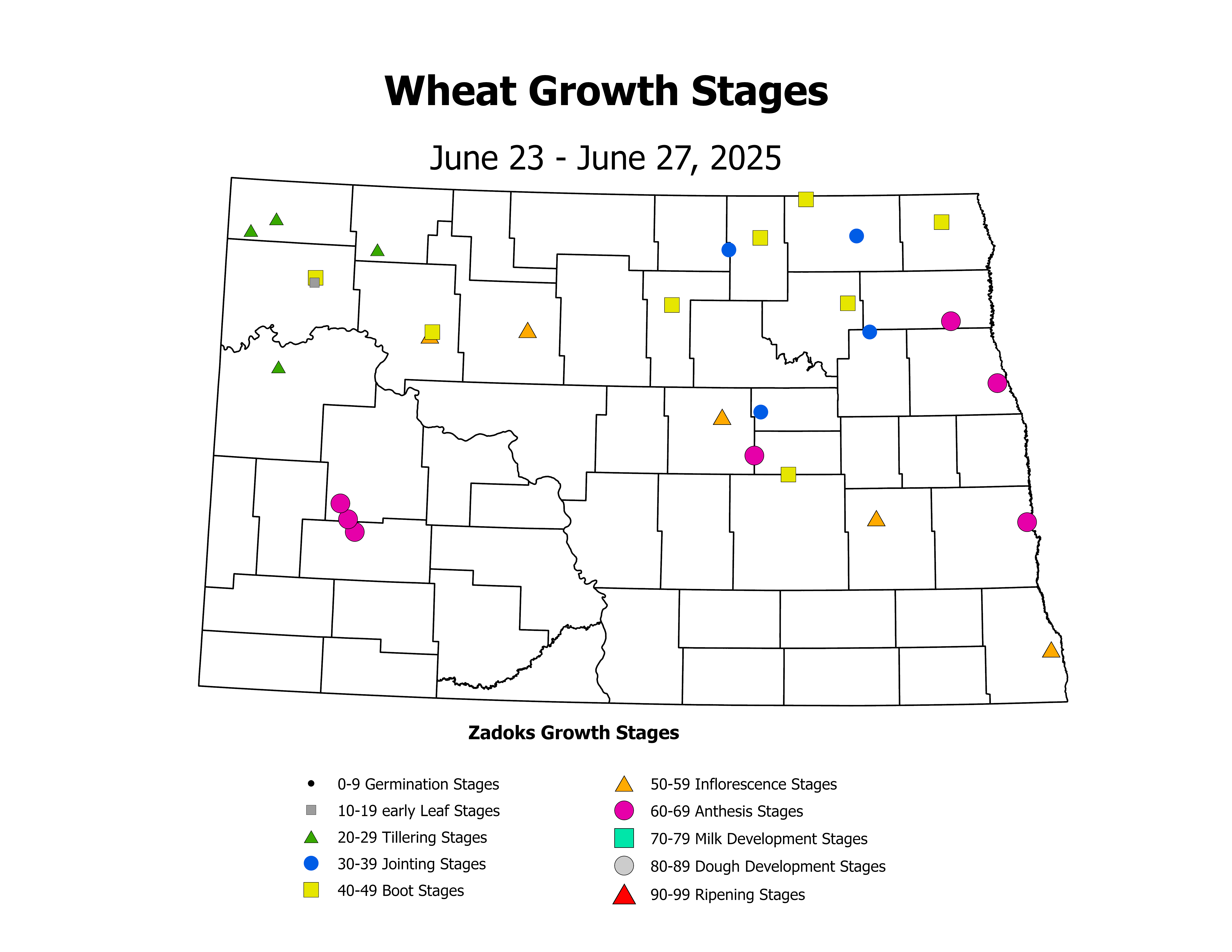 wheatInsectTrap_CropStage_2025June23ToJune27