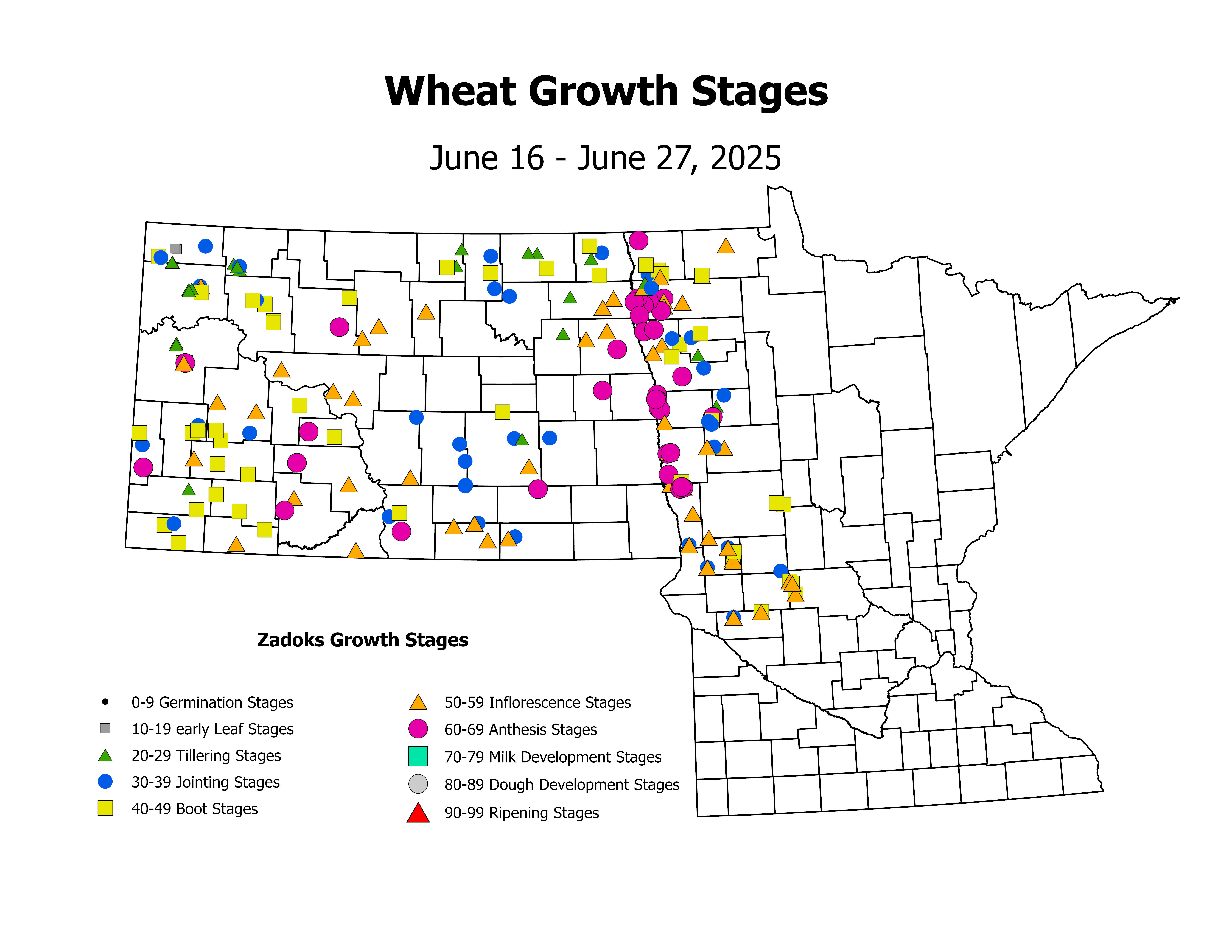 wheat_CropStage_2025June16ToJune27