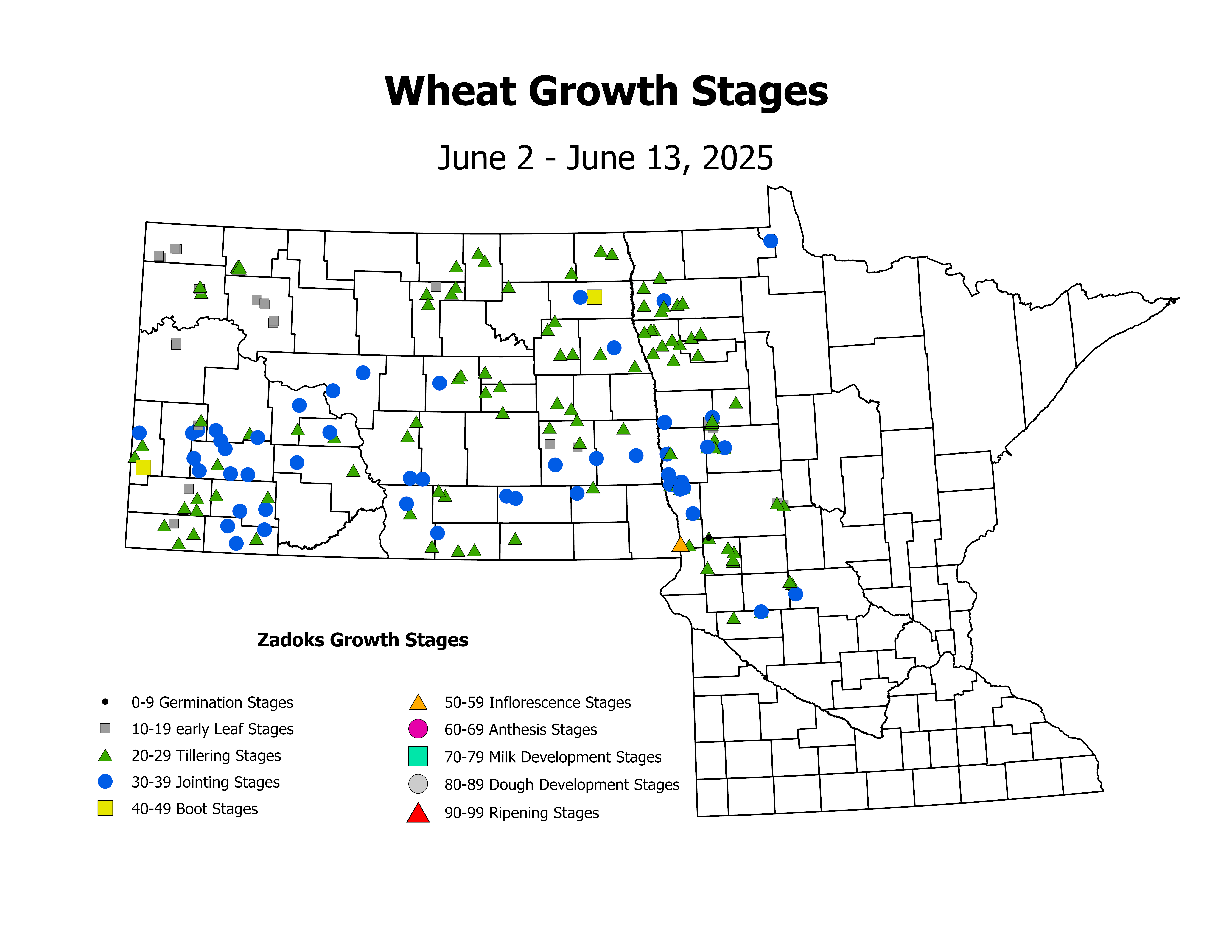 wheat_CropStage_2025June2ToJune13